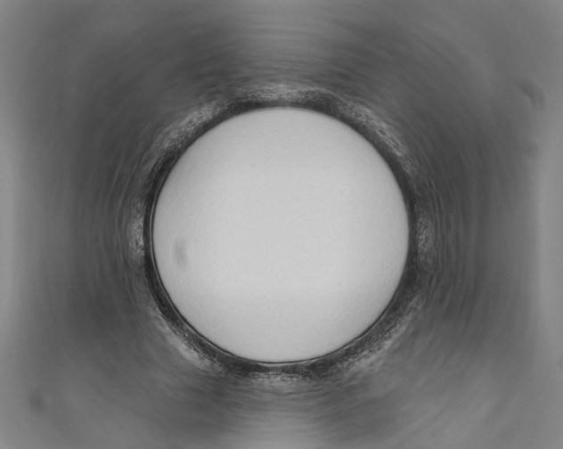 X0000111180633200907221049