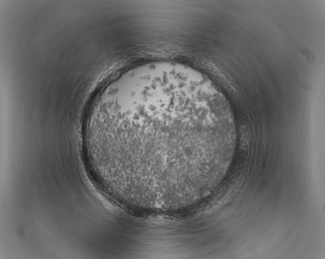 X0000111180634200907221049