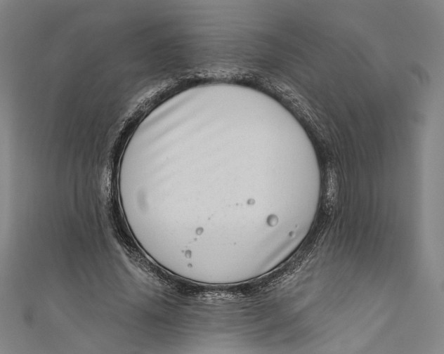 X0000111180636200907221049