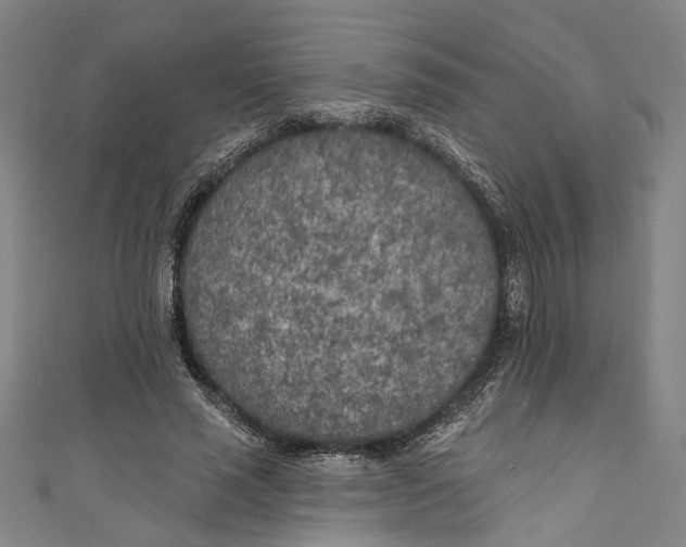 X0000111180637200907221049