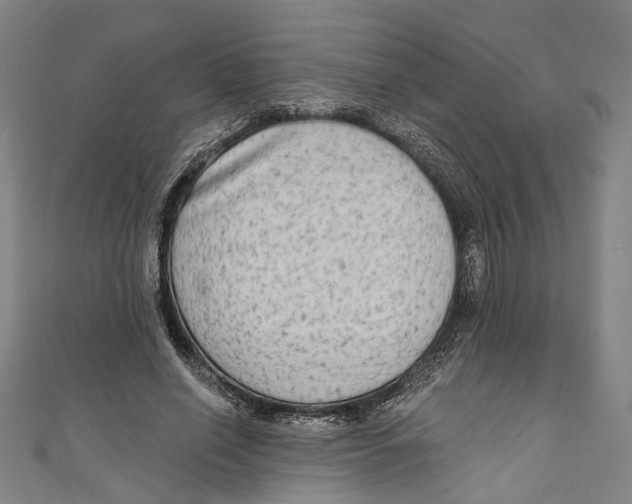 X0000111180638200907221049