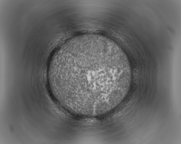 X0000111180642200907221049