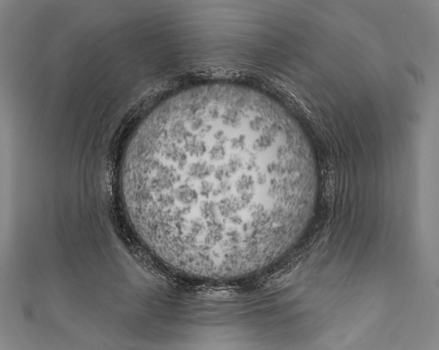 X0000111180643200907221049