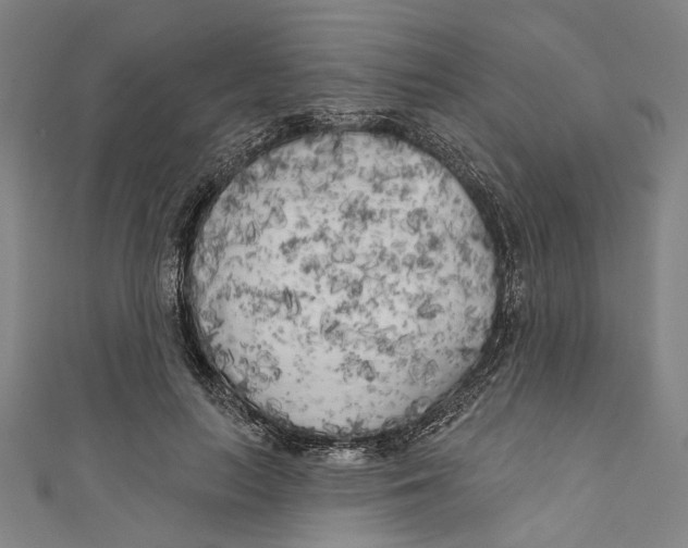 X0000111180647200907221049