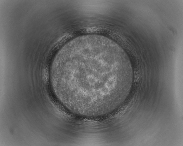 X0000111180648200907221049