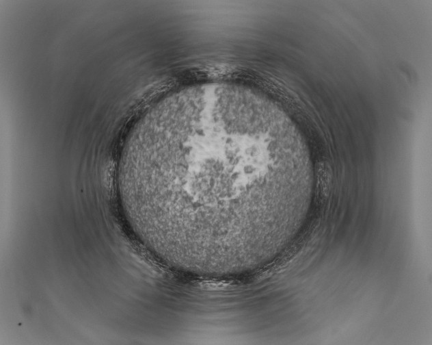 X0000111180650200907221049