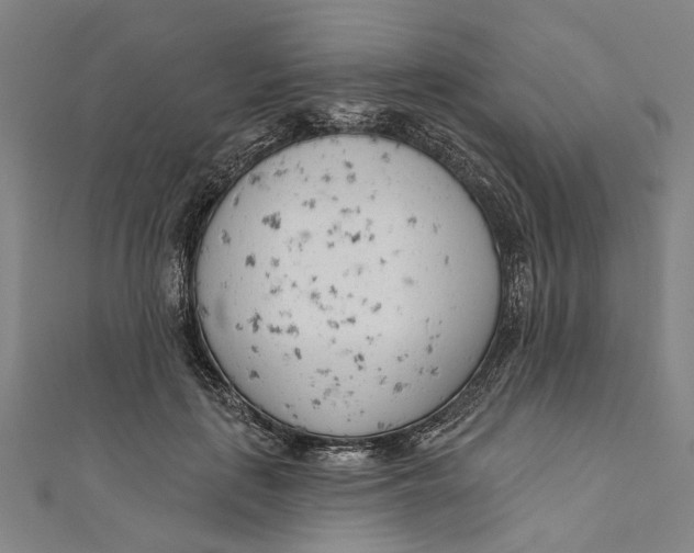 X0000111180651200907221049