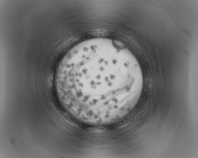 X0000111180652200907221049