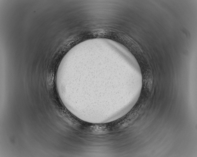 X0000111180660200907221050