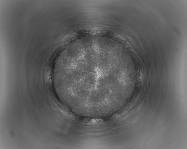 X0000111180663200907221050