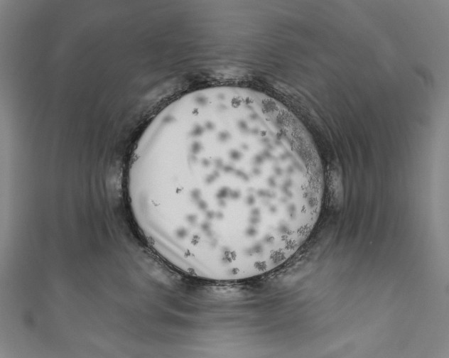 X0000111180668200907221050