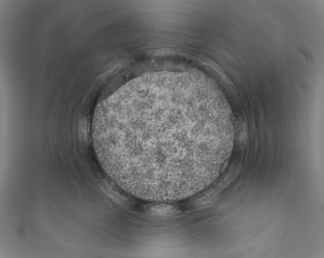 X0000111180669200907221050