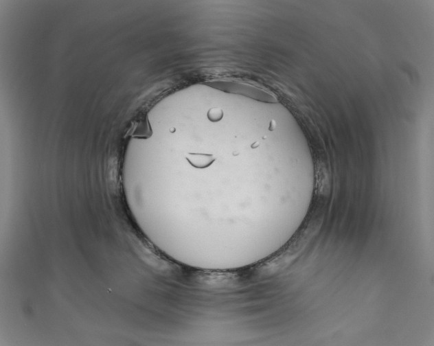 X0000111180670200907221050