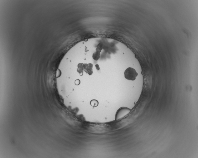 X0000111180671200907221050