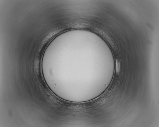 X0000111180675200907221049