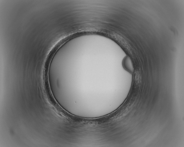 X0000111180676200907221049