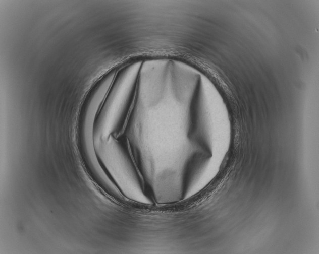 X0000111180677200907221049