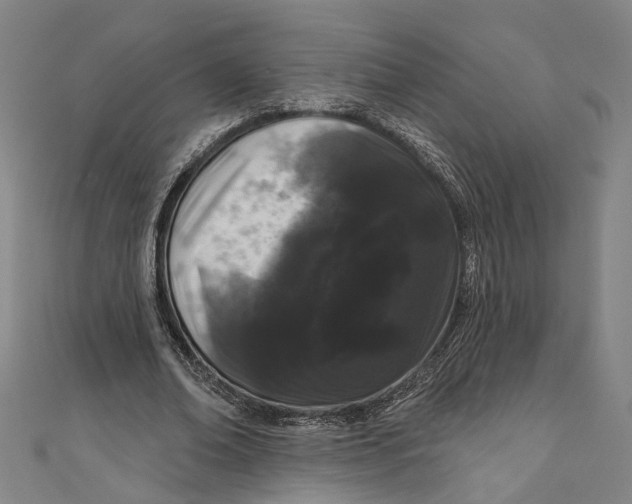 X0000111180678200907221049