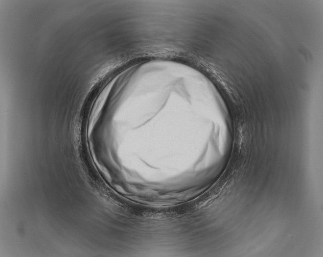 X0000111180679200907221049