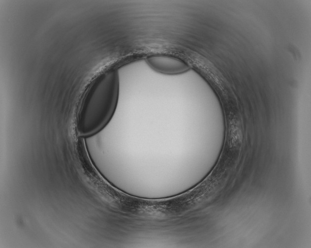 X0000111180680200907221049