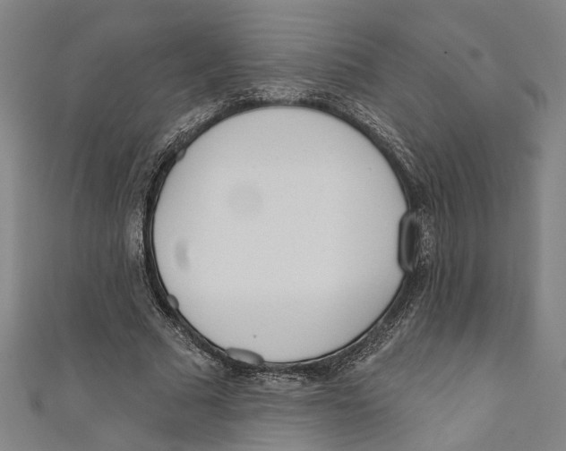 X0000111180681200907221049