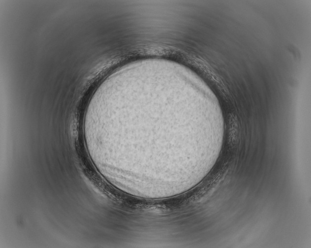 X0000111180683200907221049