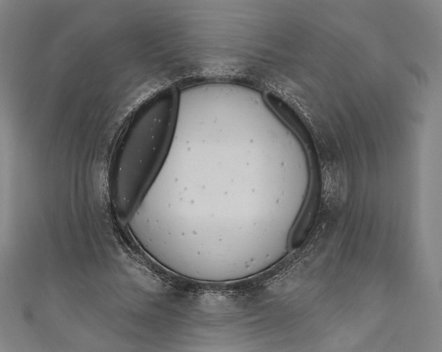 X0000111180684200907221049