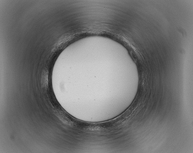 X0000111180685200907221049