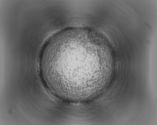 X0000111180688200907221049