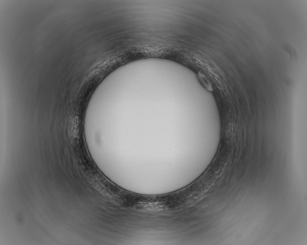 X0000111180689200907221049