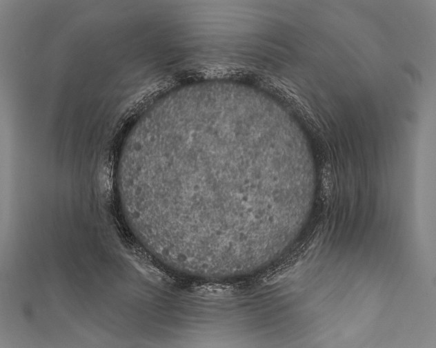 X0000111180691200907221049