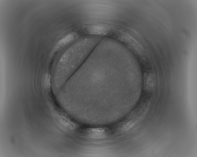 X0000111180692200907221049