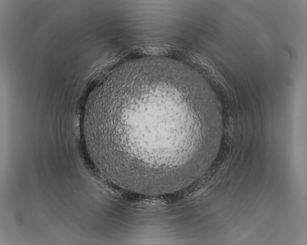 X0000111180696200907221049