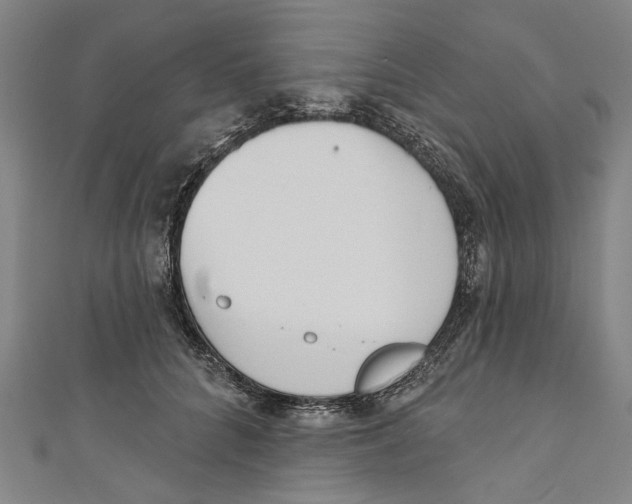 X0000111180704200907221048