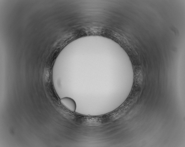 X0000111180709200907221048