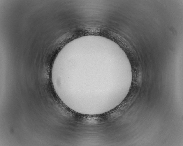 X0000111180710200907221048