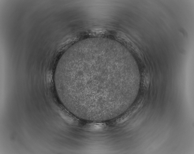 X0000111180711200907221048