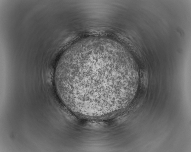 X0000111180712200907221048