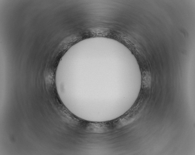 X0000111180713200907221048