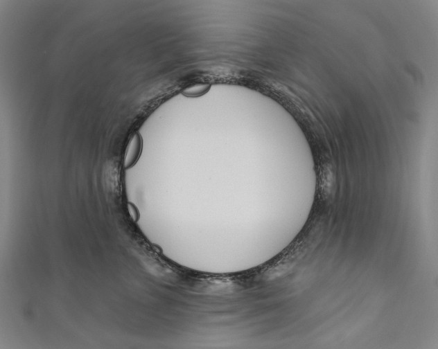 X0000111180715200907221048