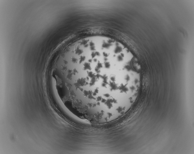 X0000111180722200907221048