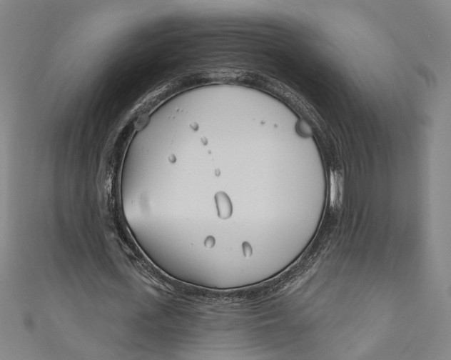 X0000111180723200907221048