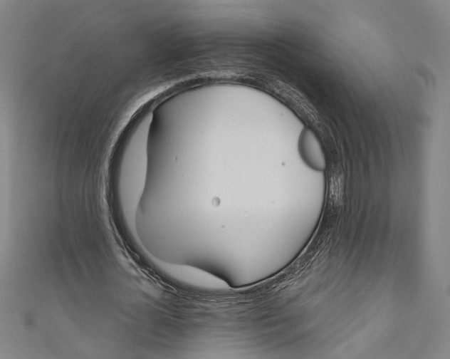 X0000111180724200907221048