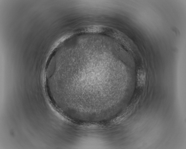 X0000111180726200907221048