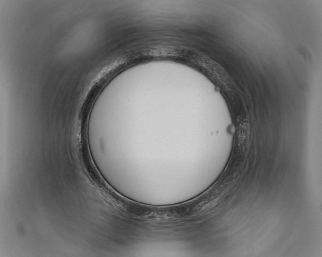 X0000111180727200907221048