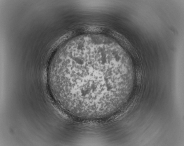 X0000111180729200907221048