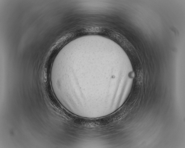 X0000111180731200907221048