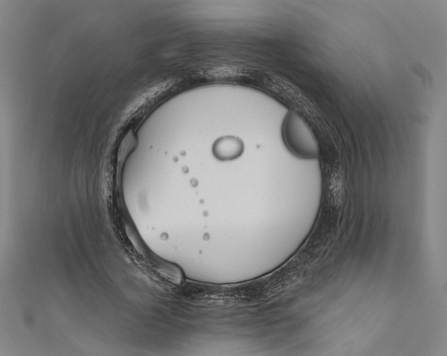 X0000111180732200907221048