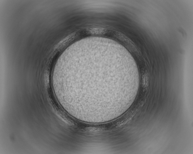 X0000111180733200907221048