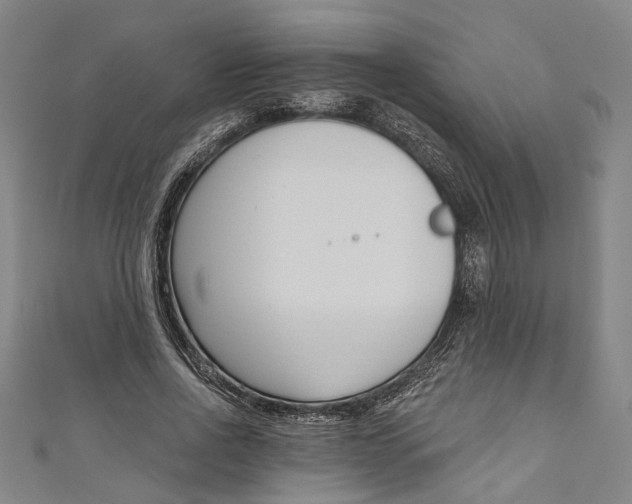 X0000111180734200907221048